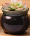 Ceramic Mini Pots