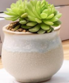 Ceramic Mini Pots