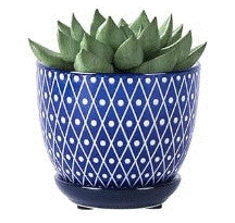 Blue Ceramic Pattern Pots 3.5"