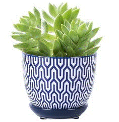 Blue Ceramic Pattern Pots 3.5"