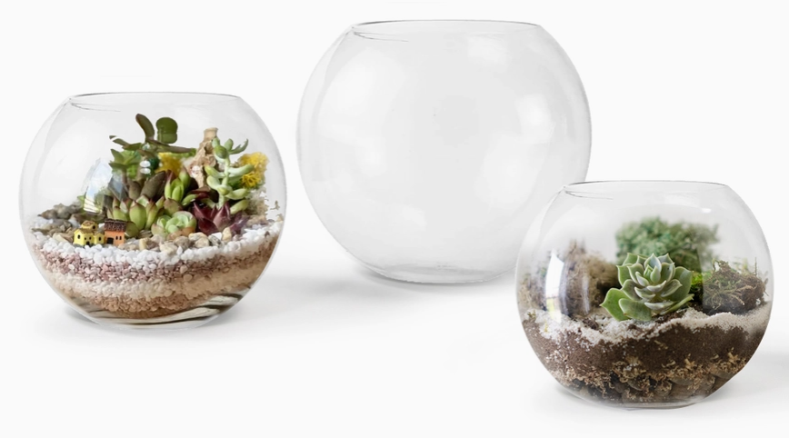 Terrarium Glass Bubble Bowl