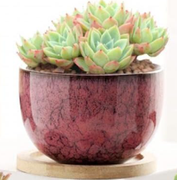 Ceramic Pot