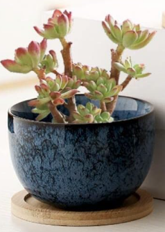 Ceramic Pot