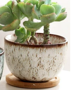 Ceramic Pot