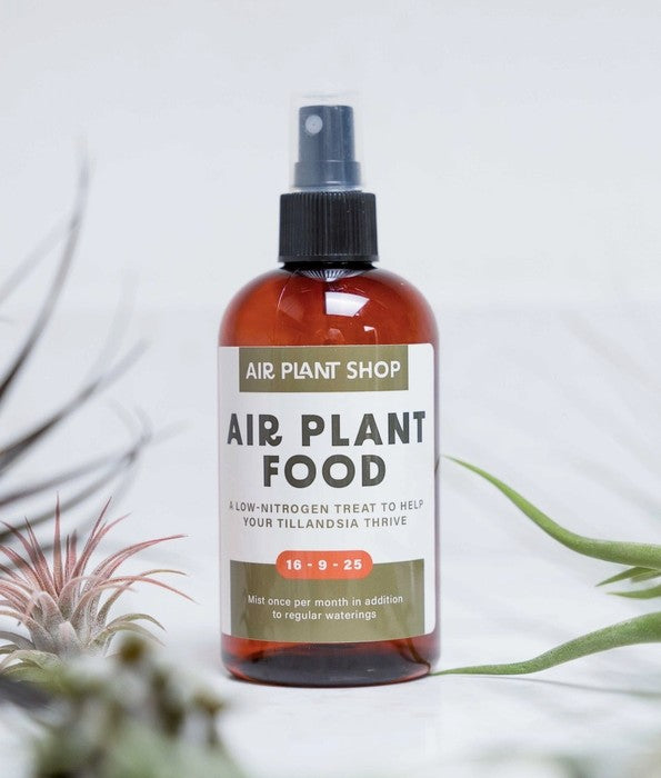 Air Plant Fertilizer