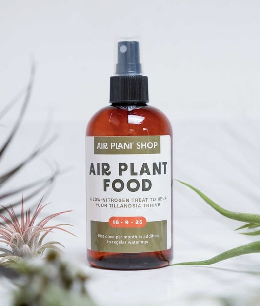 Air Plant Fertilizer