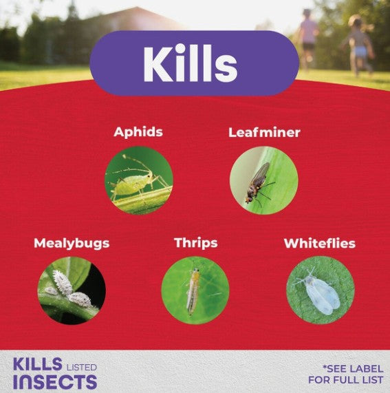 Systemic Insecticide Granules