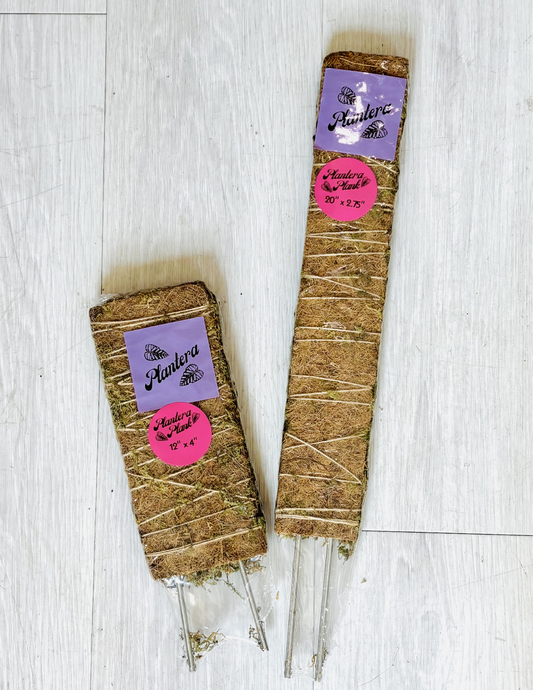 Plantera Dual-Side Plant Planks