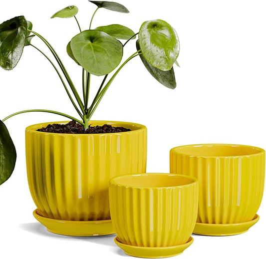 Yellow Ribbed Ceramic Pots