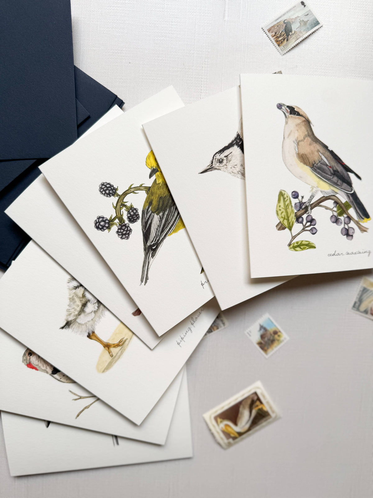Boxed Watercolor Bird And Botanical Greeting Card Packs