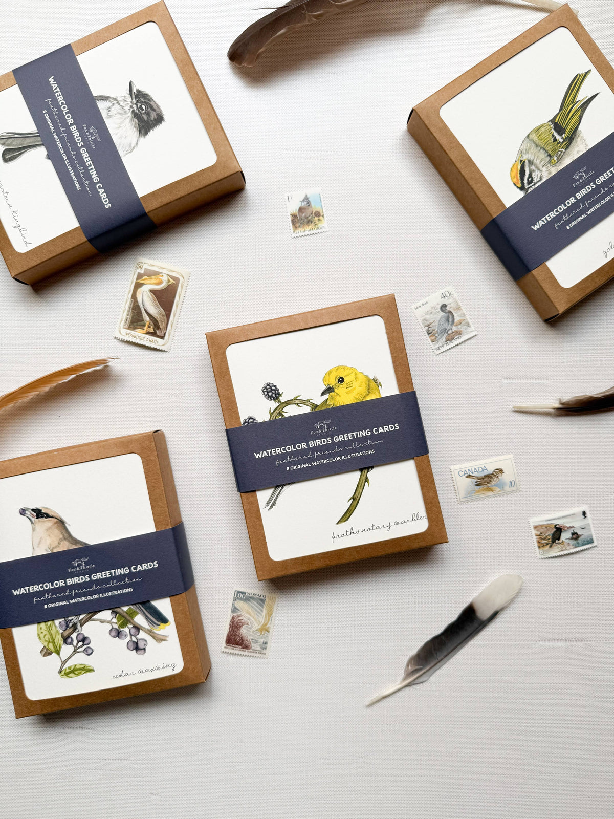 Boxed Watercolor Bird And Botanical Greeting Card Packs
