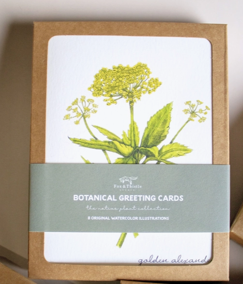 Boxed Watercolor Bird And Botanical Greeting Card Packs