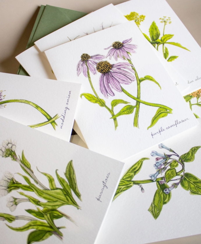 Boxed Watercolor Bird And Botanical Greeting Card Packs