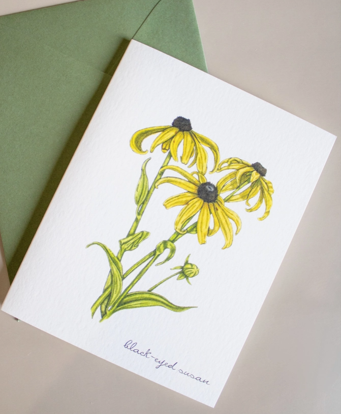 Boxed Watercolor Bird And Botanical Greeting Card Packs