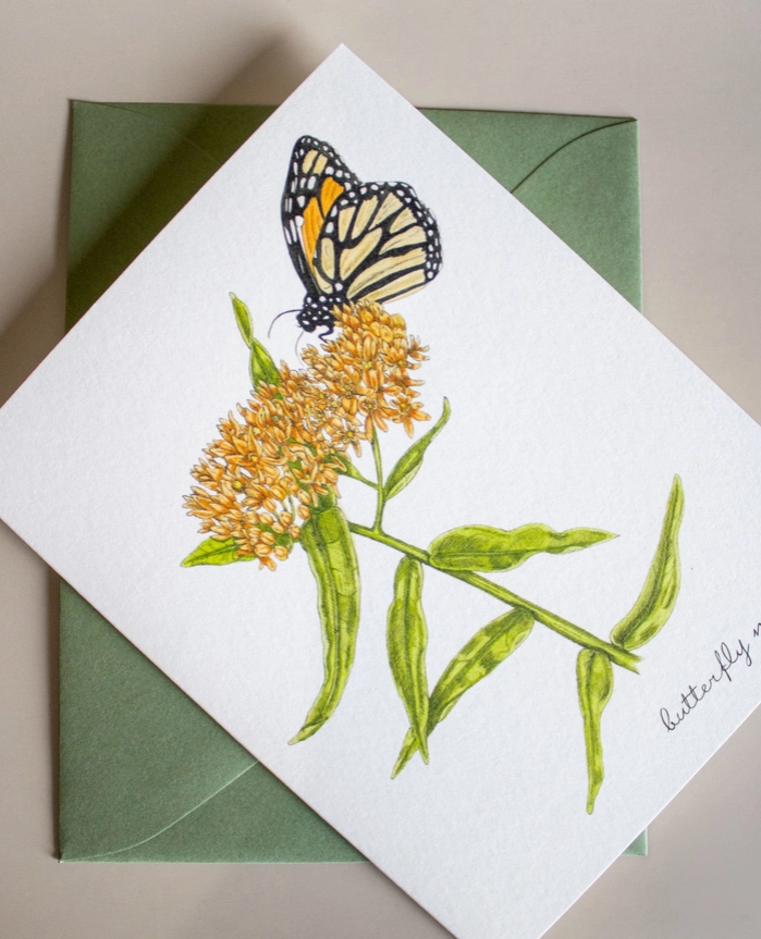 Boxed Watercolor Bird And Botanical Greeting Card Packs
