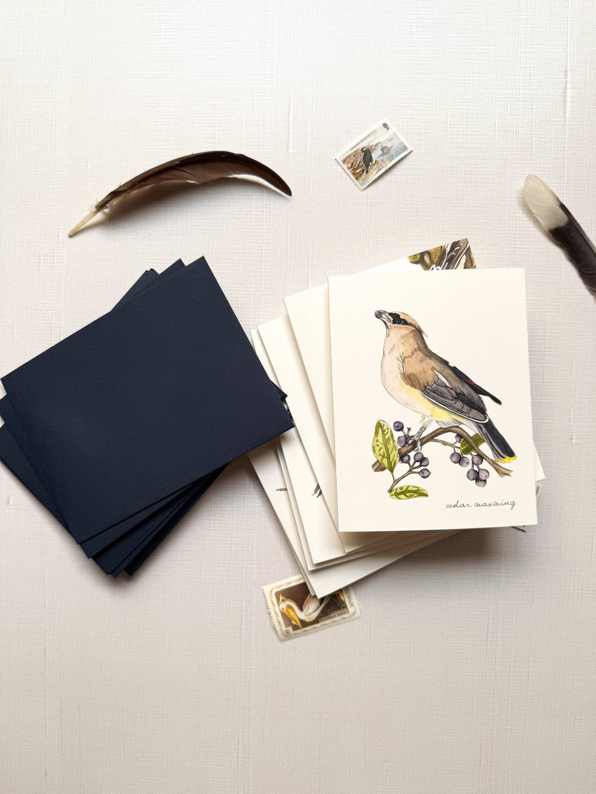 Boxed Watercolor Bird And Botanical Greeting Card Packs