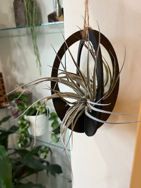 Silva & Ore Hanging Airplant Holders