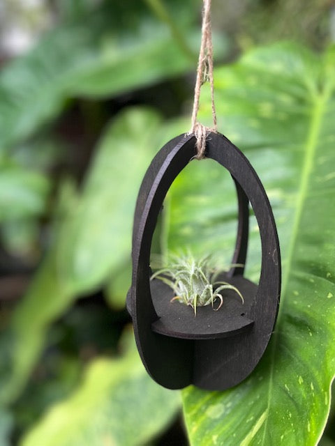Silva & Ore Hanging Airplant Holders