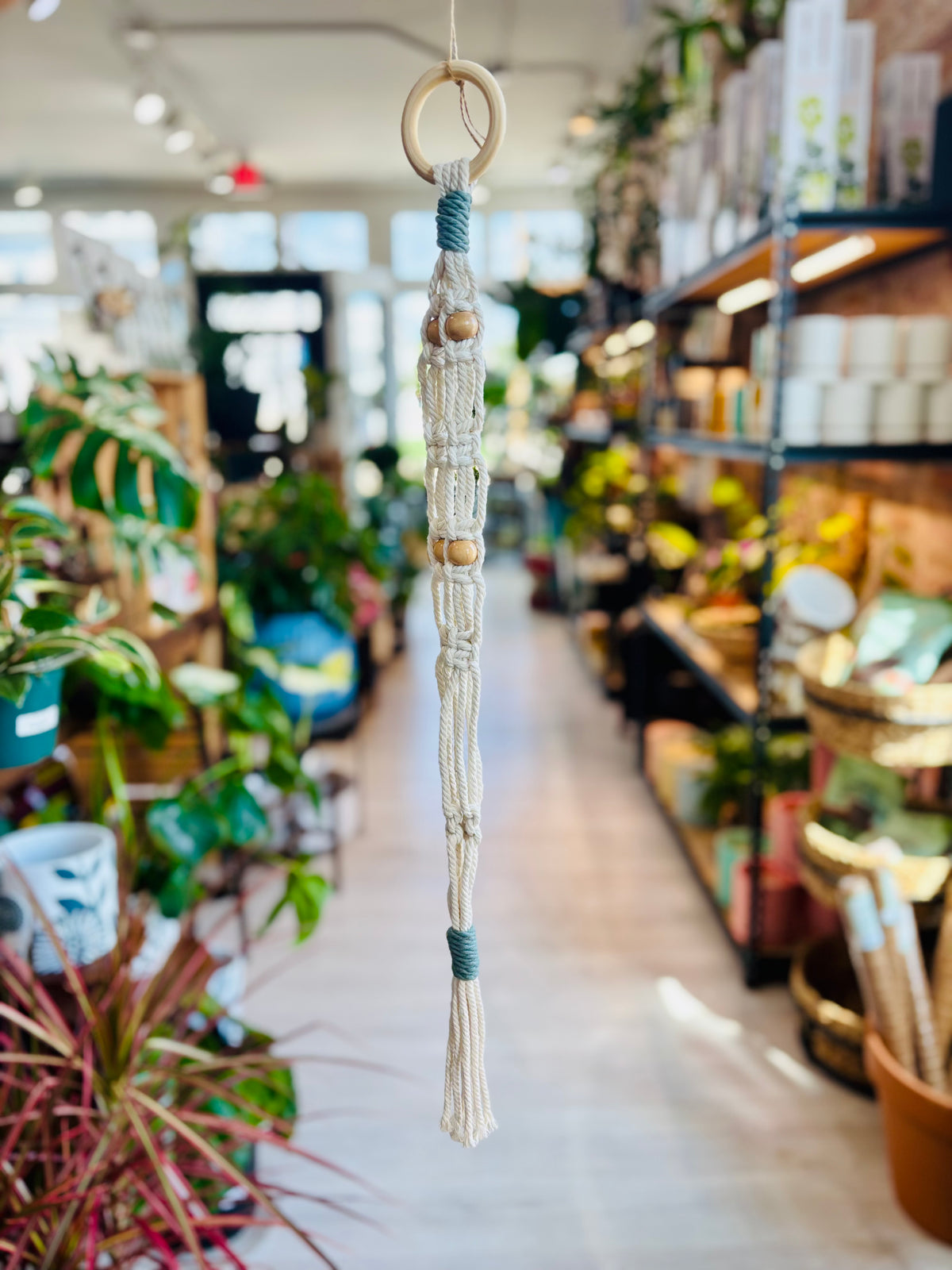 Knotty by Nature Macrame Hangers