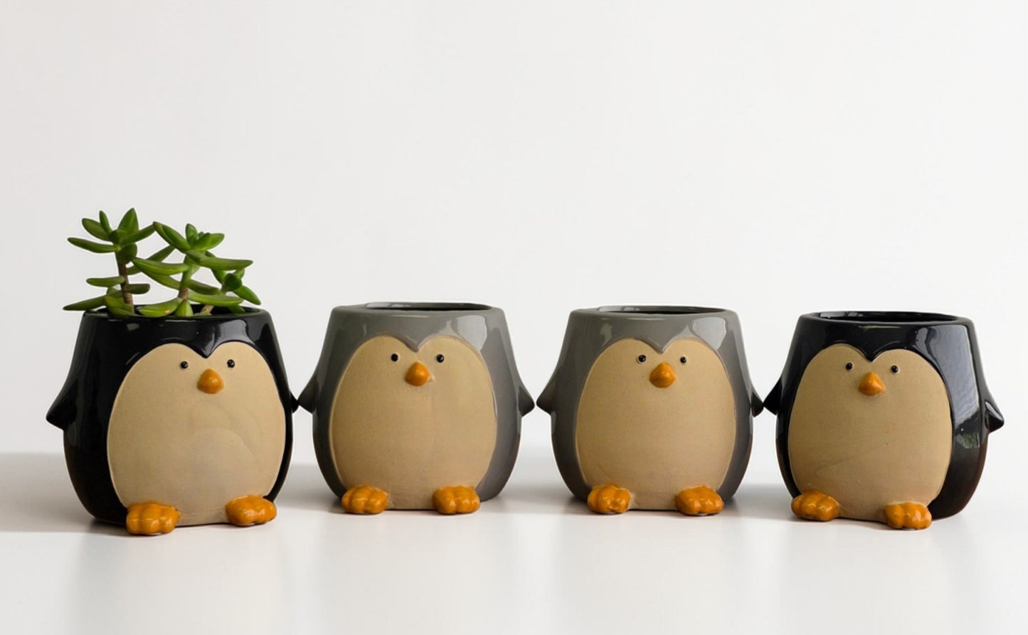 Penguin Pots