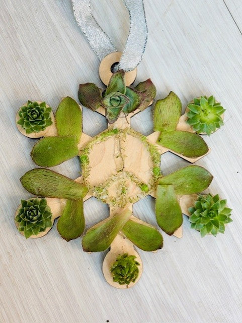 Succulent & Floral Ornaments - December 12th