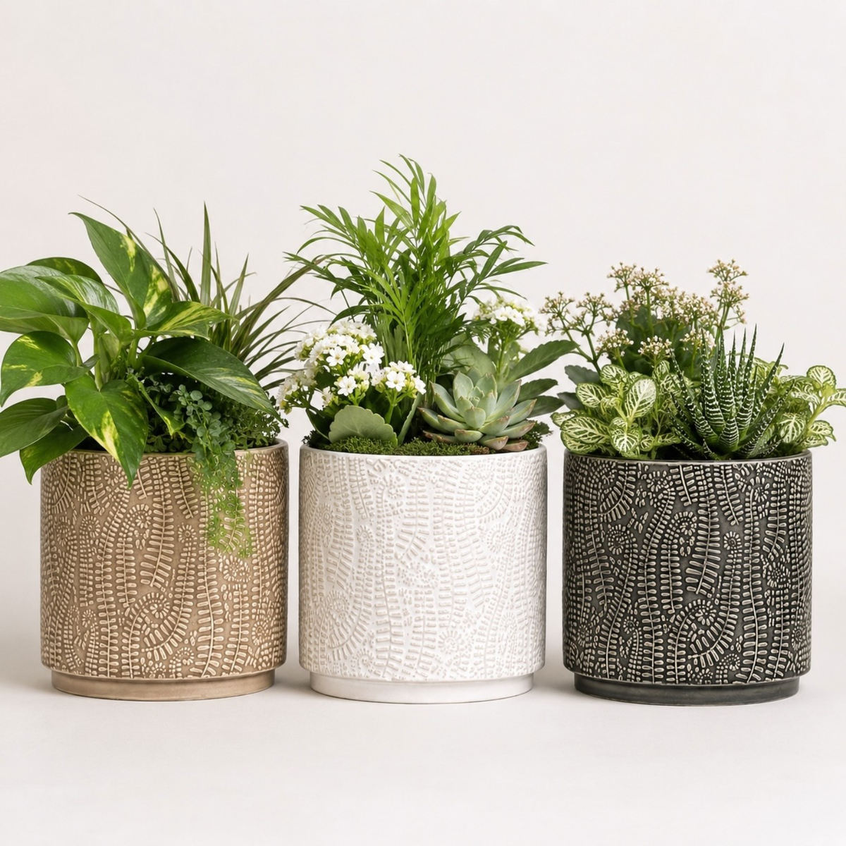 Jayla Planter